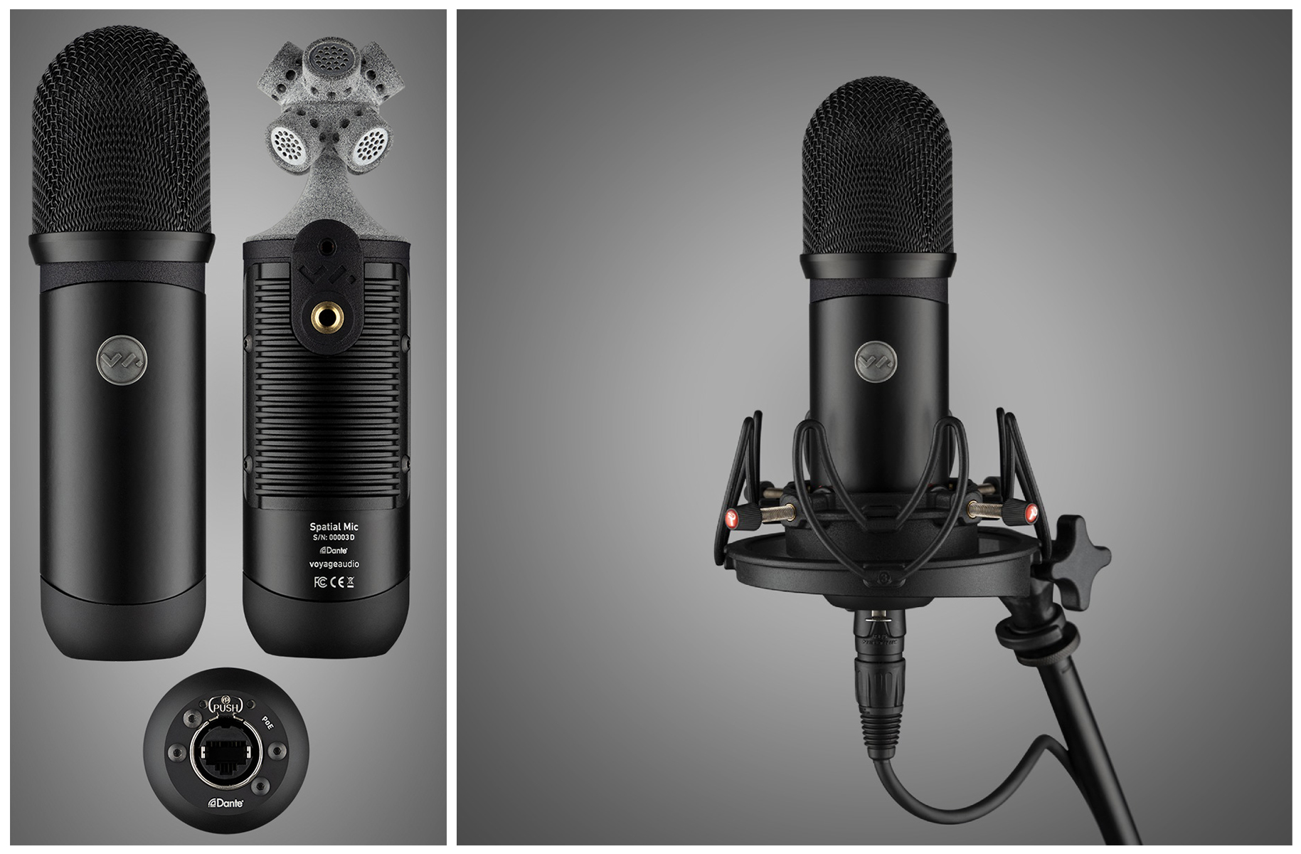 voyage audio spatial mic dante